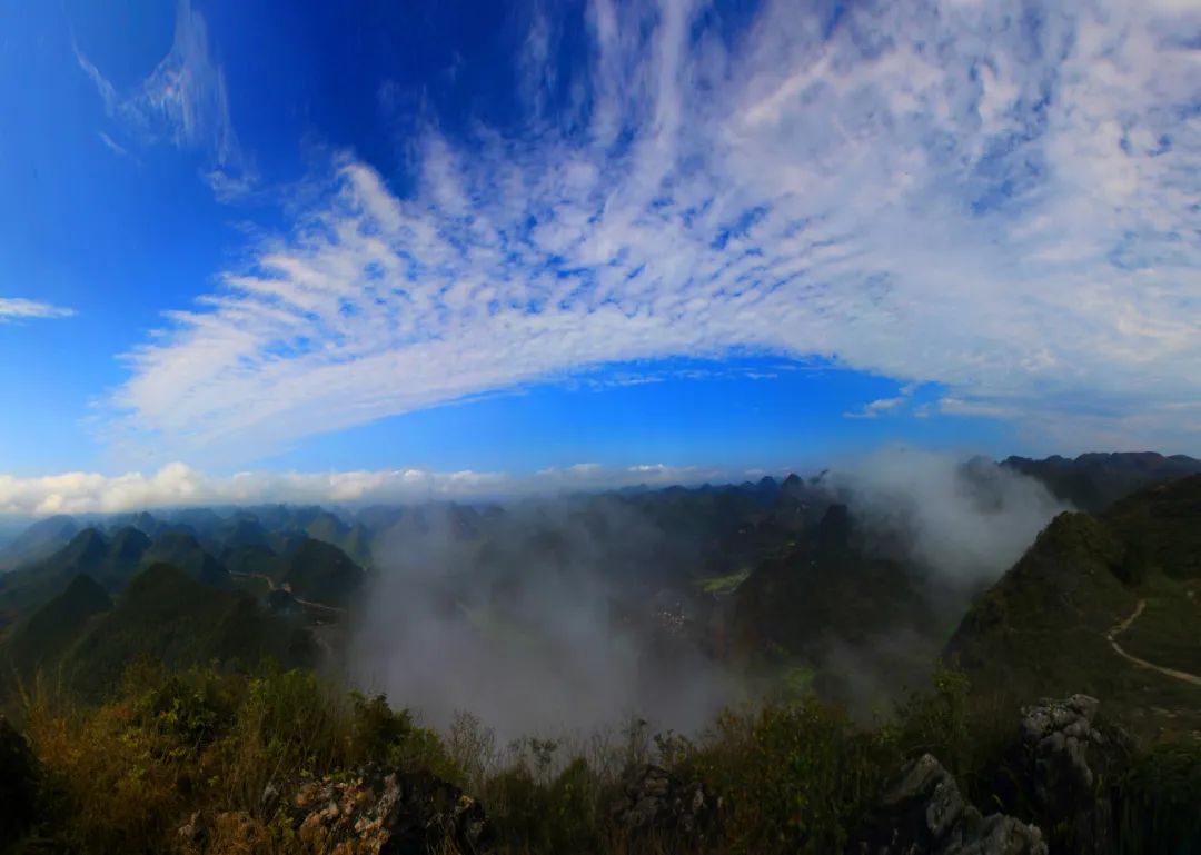 1710383615886008.jpg 640 (17).jpg